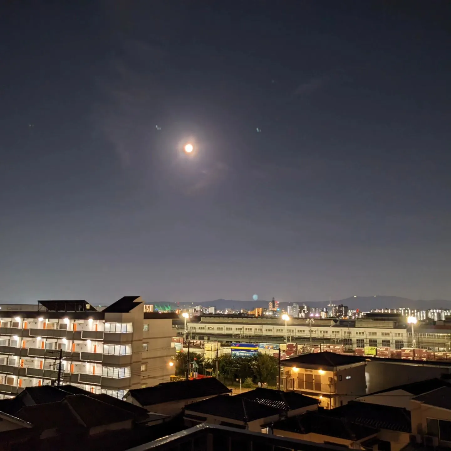 本日は、中秋の名月🌕